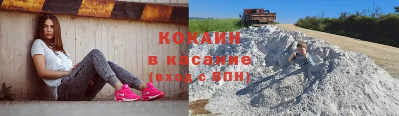 Cocaine FishScale  где купить наркоту  Анива 